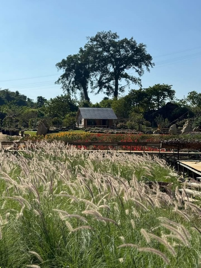 Thung lũng hoa Mộc Châu The Flora mỗi mùa mang một vẻ đẹp riêng