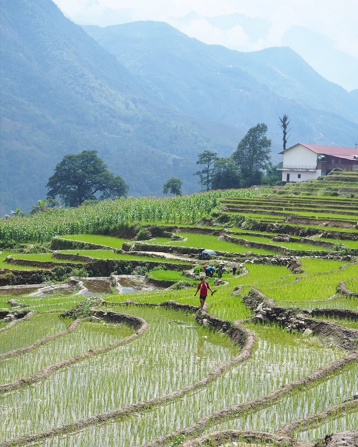Kinh nghiệm khám phá xã Hầu Thào Sapa 