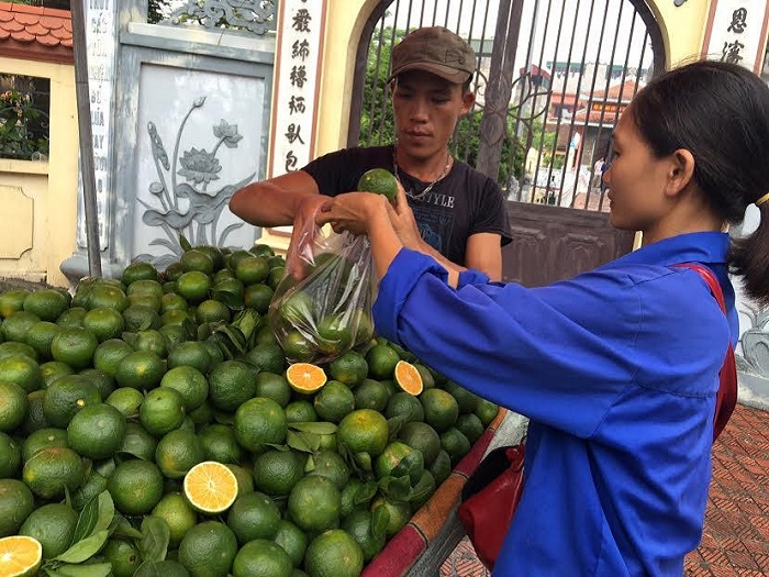 Mua cam Bố Hạ Bắc Giang tại chợ địa phương