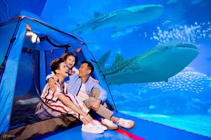 Cùng cẩm nang du lịch Quảng Đông Trung Quốc khám phá Chimelong