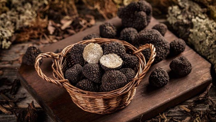 Các món ăn nổi tiếng ở Ý - Nấm Truffles