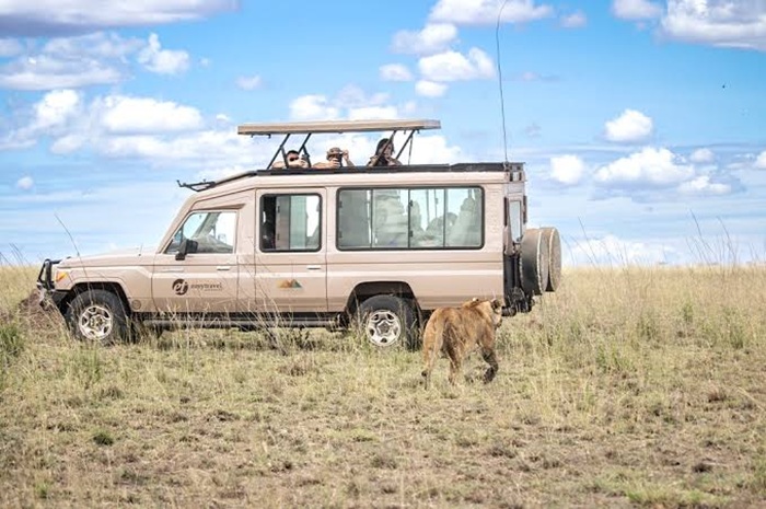 Tham gia tour safari là hoạt động trải nghiệm ở châu Phi vô cùng thú vị - Ảnh: Easy Travel and Tours Ltd