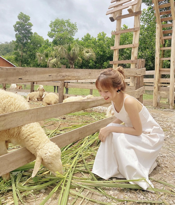 Khu du lịch sinh thái ở Bắc Giang Khu du lịch sinh thái ở Bắc Giang có đồi chè bát ngát
