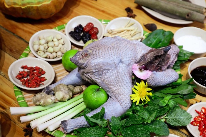 Địa chỉ bán lẩu gà đen Tây Bắc 