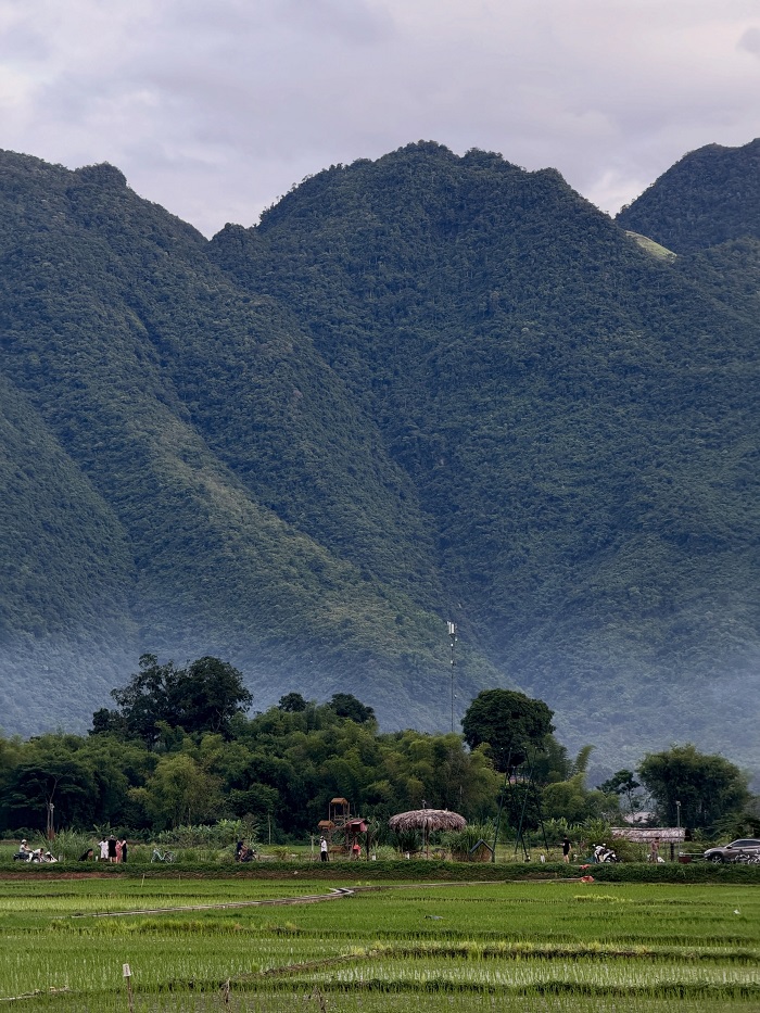 Thung lũng Mai Châu là thung lũng đẹp nhất Tây Bắc với đồng lúa ngát xanh
