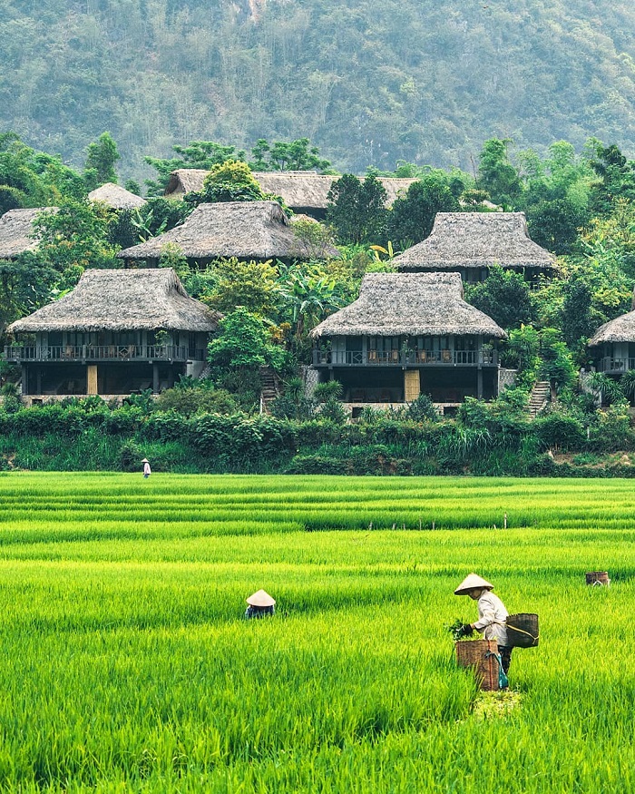 Thung lũng Mai Châu là thung lũng đẹp nhất Tây Bắc là nơi cư trú của bà con người Thái