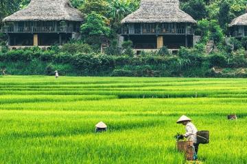 Một vòng dạo quanh những thung lũng đẹp nhất Tây Bắc