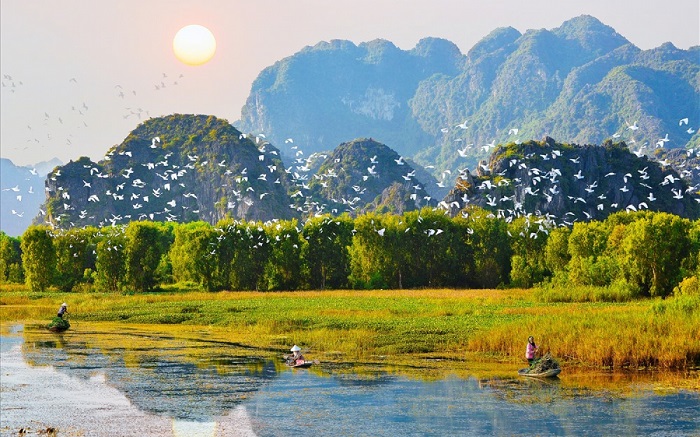 Lịch trình du lịch Ninh Bình 2 ngày không thể bỏ qua vườn chim Thung Nham