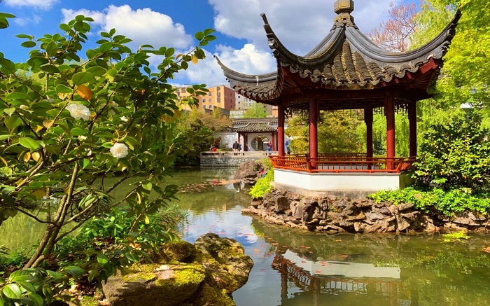 Tản bộ qua Vườn Trung Quốc cổ điển của Tiến sĩ Sun Yat-Sen là điều nên làm ở Vancouver