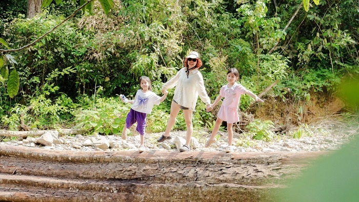 Khu du lịch sinh thái ở Phú Thọ Vườn Quốc gia Xuân Sơn thu hút du khách khi tìm kiếm Khu du lịch sinh thái ở Phú Thọ