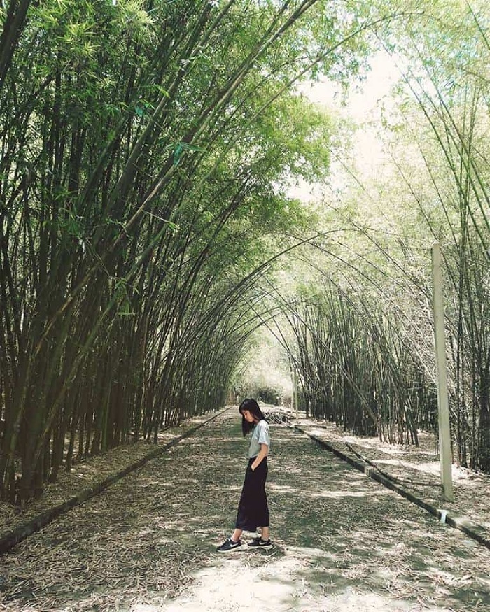 Làng tre Phú An Bình Dương Làng tre Phú An Bình Dương có giá vé phải chăng