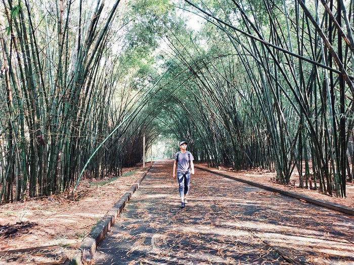 Làng tre Phú An Bình Dương Làng tre Phú An Bình Dương đang chờ đón bạn