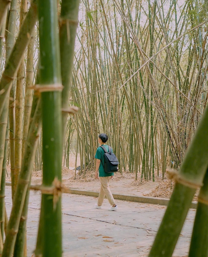 Làng tre Phú An Bình Dương Làng tre Phú An Bình Dương quy tụ hàng trăm mẫu tre, giống tre