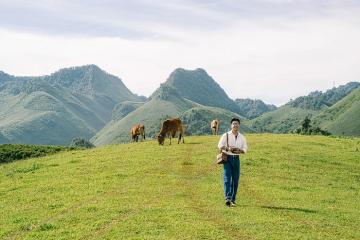 Gợi ý lịch trình đi Mộc Châu 3 ngày 2 đêm cực hay ho