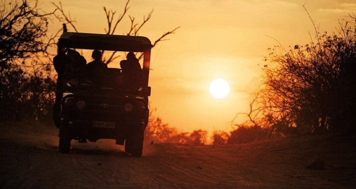 Hoàng hôn buông xuống ở vườn quốc gia Chobe - Ảnh: Chobe National Park