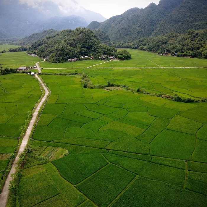 Bản Nhót Mai Châu là điểm đến bình yên chữa lành