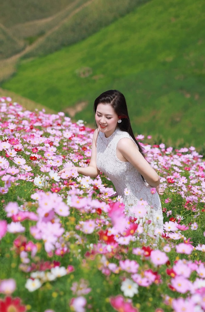Đồi hoa Lóng Sập Mộc Châu Một chiếc váy trắng sẽ cực kỳ nổi bật tại Đồi hoa Lóng Sập Mộc Châu