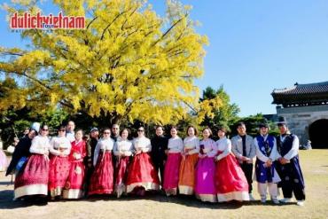 Du Lịch Hàn Quốc Mùa Lá Đỏ 6N5Đ | Hành Trình Busan – Seoul – Nami – Incheon