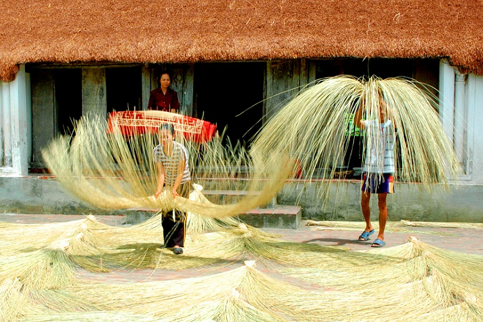Làng nghề cói Kim Sơn Ninh Bình cách trung tâm thành phố hơn 33 km