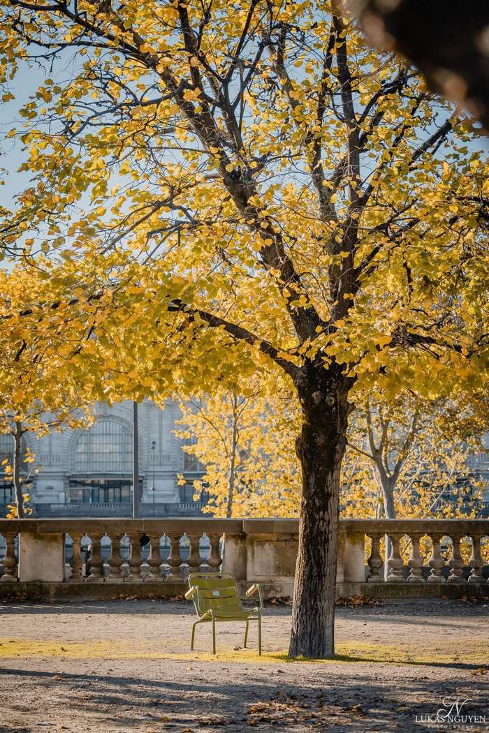 'Mùa thu vàng' Paris