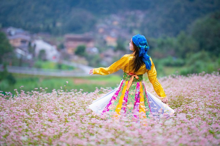 Ghé thăm thung lũng Sủng Là trong điểm ngắm hoa tam giác mạch ở Hà Giang 