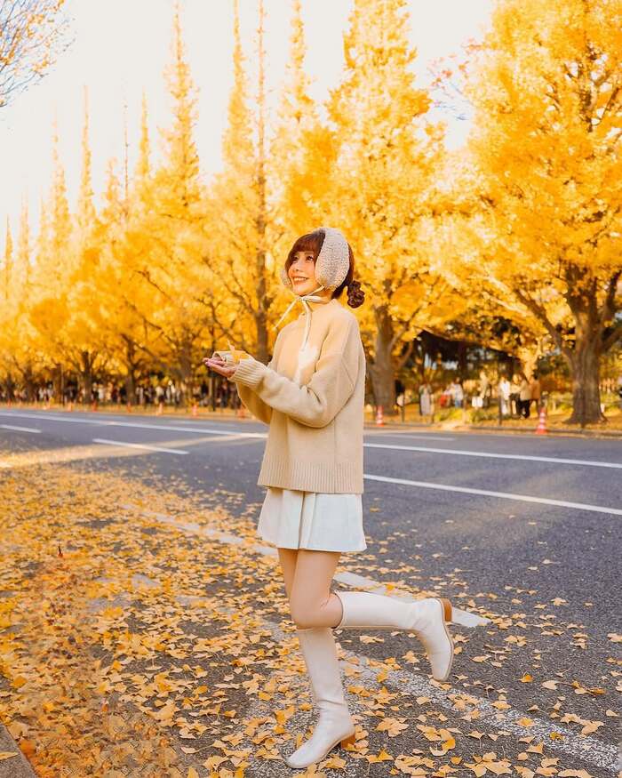 Những điều du khách cần lưu ý khi ghé thăm các địa điểm ngắm lá đỏ Nhật Bản