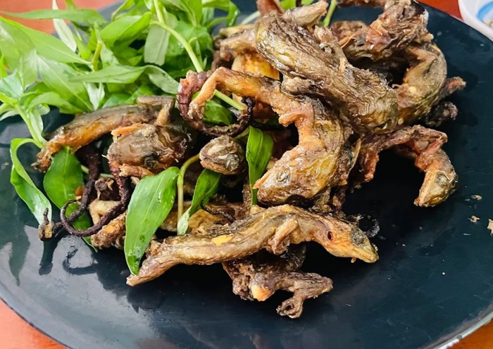 Thằn lằn núi Bà Đen - Món ngon độc đáo đặc sản Tây Ninh 