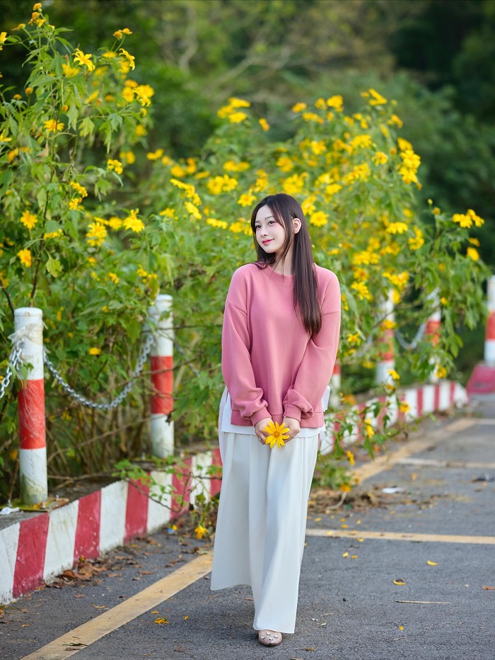 Mùa dã quỳ là mùa hoa tháng 10 ở miền Bắc ở rộ ở Hà Nội, Điện Biên