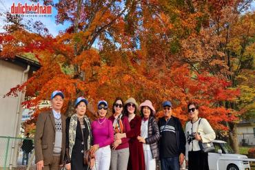 Top 3 tour Nhật Bản mùa thu bán chạy nhất 2026