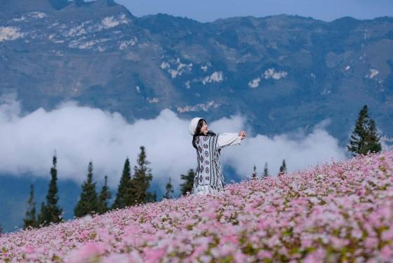 Điểm ngắm hoa tam giác mạch ở Hà Giang đang nở rộ