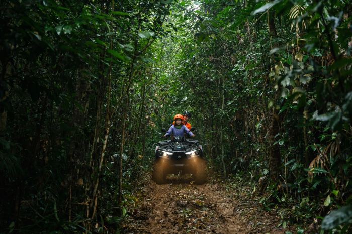 du lịch Tân Hóa Quảng Bình khám phá rừng Lim