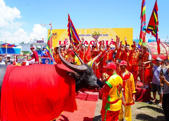 Lễ hội chọi trâu một trong những lễ hội truyền thống Bình Phước lâu đời