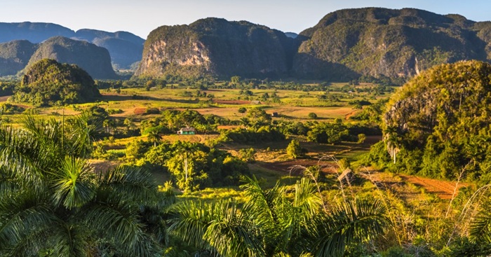 Thung lũng Vinales sở hữu khung cảnh ngát xanh của những rừng cọ và cánh đồng thuốc lá - Ảnh: Cubaunbound