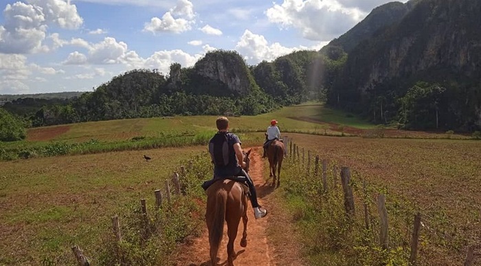 Tham gia cưỡi ngựa ở thung lũng Vinales - Ảnh: Tripadvisor