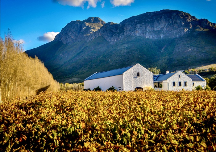 Du lịch Nam Phi mùa nào đẹp nhất? Franschhoek vào mùa thu mang vẻ đẹp yên bình - Ảnh: South African Tours & Safaris