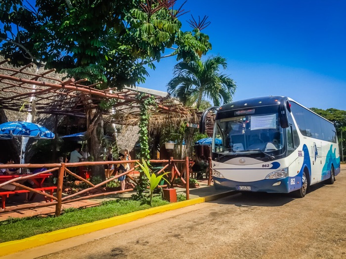 Xe buýt Viazul có độ an toàn và tiện lợi, được nhiều du khách chọn lựa - Ảnh: Divergent Travelers