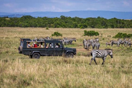Trải nghiệm safari tại châu Phi - Vùng đất hoang dã đẹp nhất hành tinh