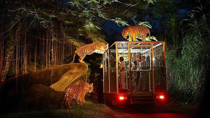 Safari đêm đem đến cho du khách những khoảnh khắc khó quên - Ảnh: Mara River Safari Lodge
