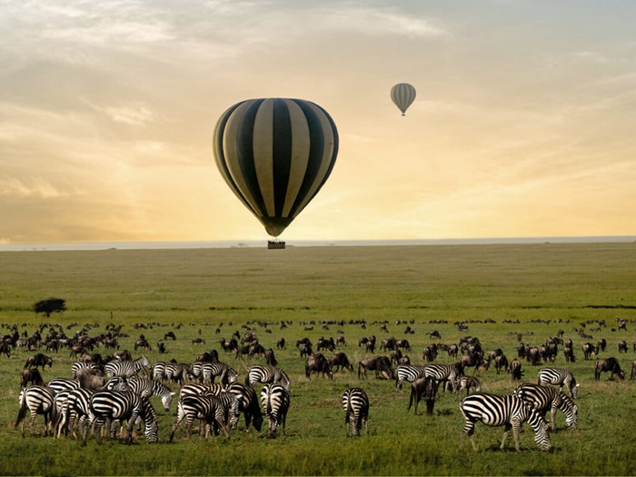 Trải nghiệm bay khinh khí cầu ở vườn quốc gia Serengeti - Ảnh: Kiwoito Africa Safaris